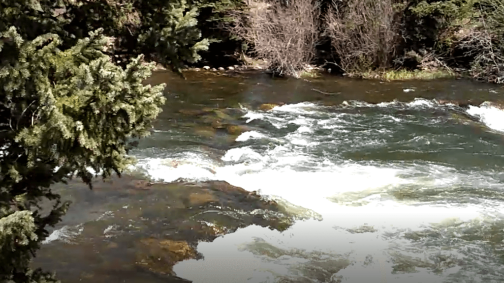 Cybertruck off road streamside